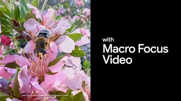 Функция Macro Focus Video
