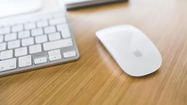Беспроводная мышь Magic Mouse