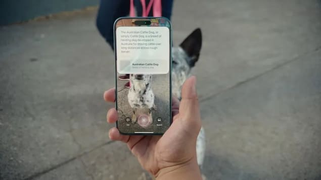 Visual Intelligence 2.0 распознаёт породу собаки