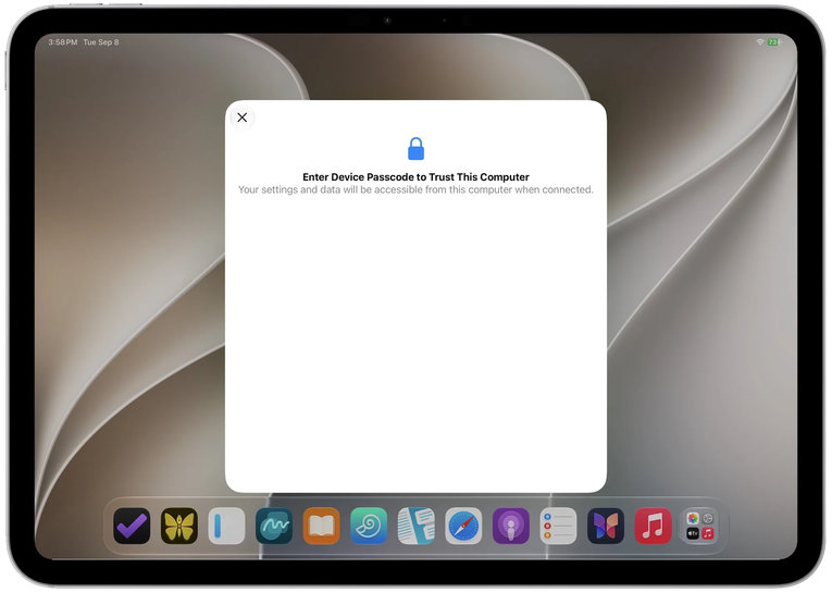 Окно на iPad с запросом «Enter Device Passcode to Trust This Computer» – ввод код-пароля для сопряжения планшета с компьютером